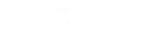 Logo_BullProtect_05_mit-Schriftzug_untereinander_weiss